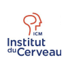 Institut du cerveau